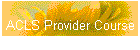 ACLS Provider Course