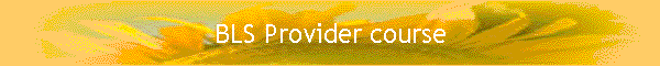 BLS Provider course