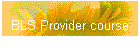 BLS Provider course